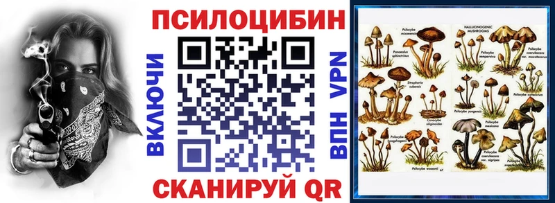 Псилоцибиновые грибы Magic Shrooms  Купить закладки  Куса 