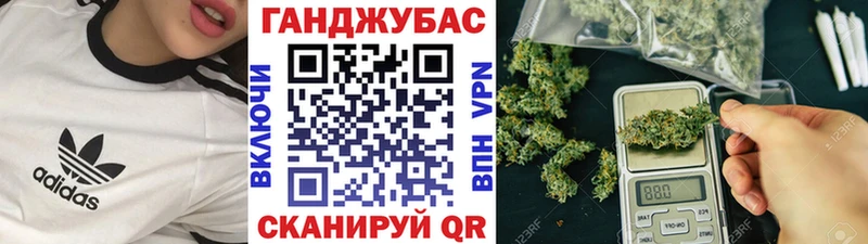 Купить где  Куса  Канабис индика 